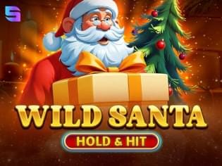 Wild Santa - Hold & Hit screenshot