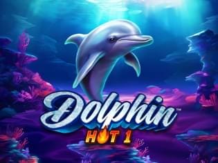 Dolphin Hot 1 screenshot